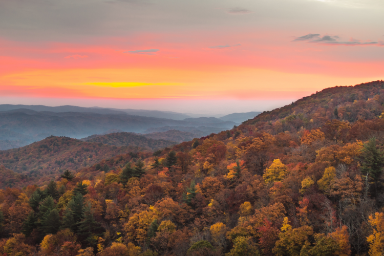 Peak Fall Foliage in Smoky Mountains