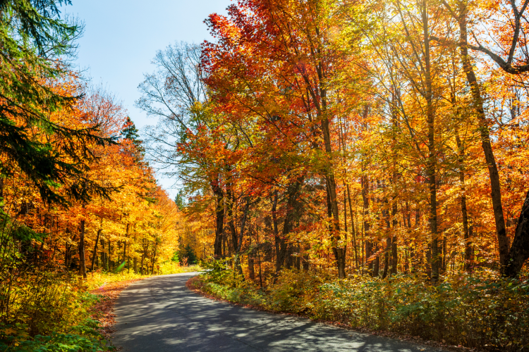scenic fall drives in the smoky mountains