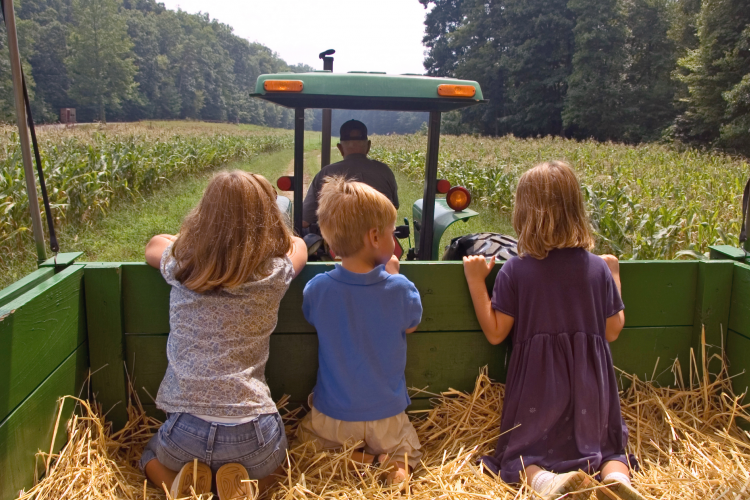  Hayrides in the Smoky Mountains