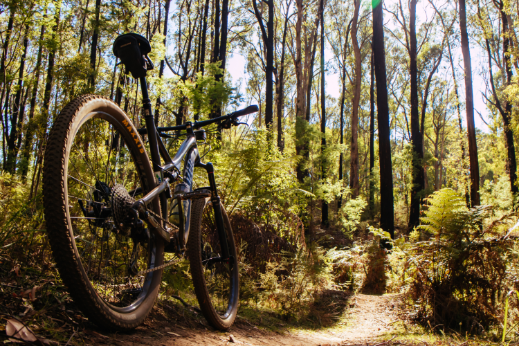 Gatlinburg Vacation Rentals