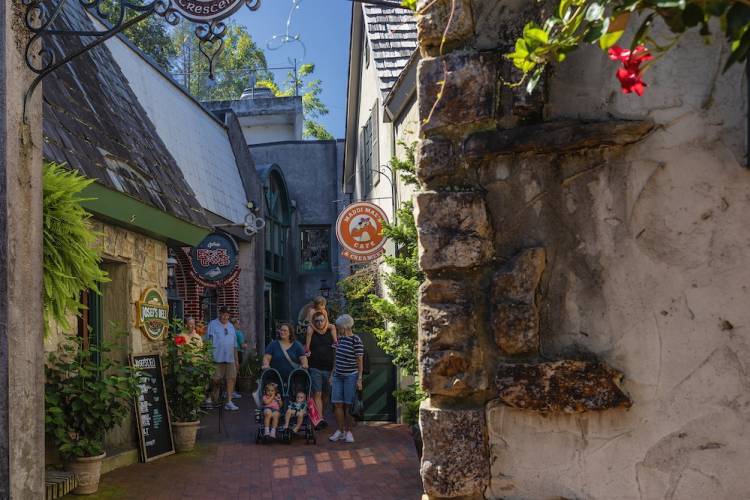 family in gatlinburg