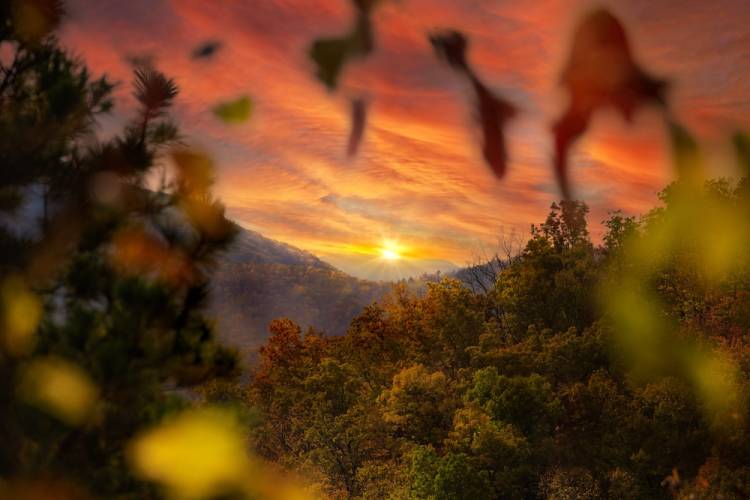 sunset in the smoky mountains on a fall day with a bright pink and orange sky