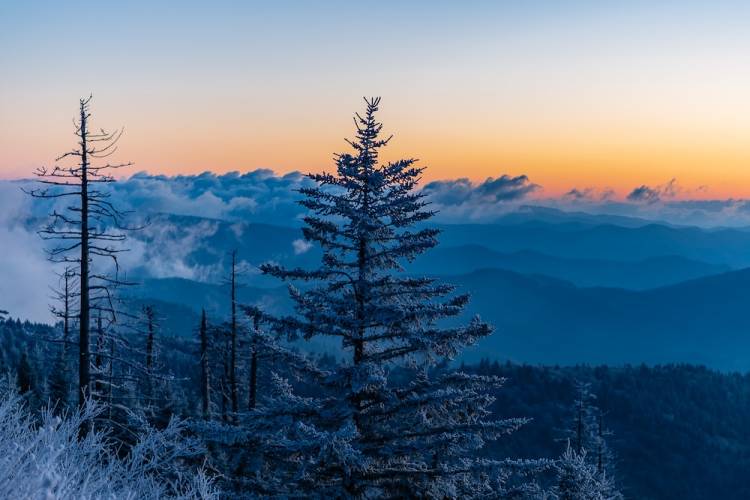 snowy view in smoky mountains 