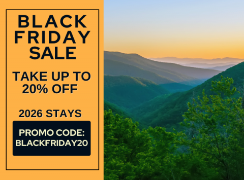 Black Friday Specials