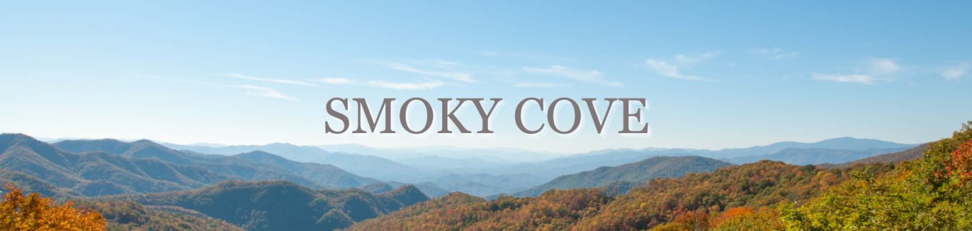 Vacation Rentals at Smoky Cove Resort | Venture Smoky Mountains