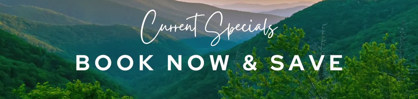 Discounts on Smoky Mountain Rentals