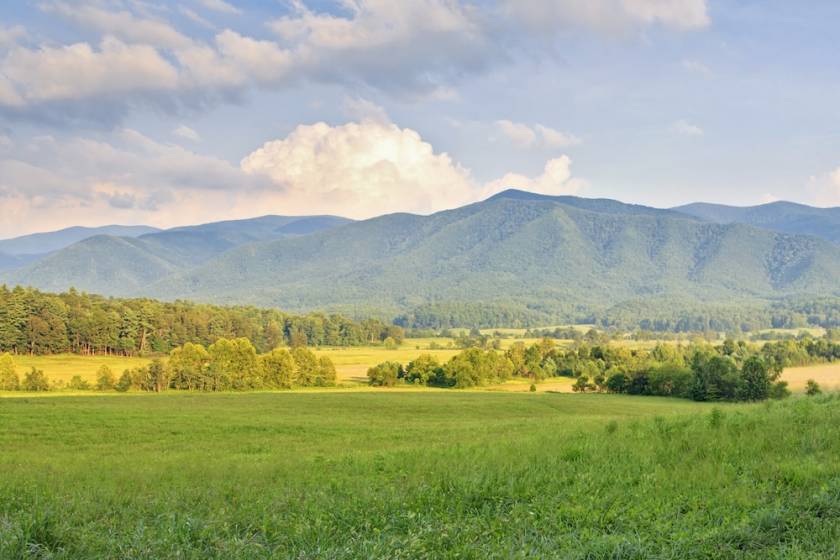 open field in Wears Valley, TN