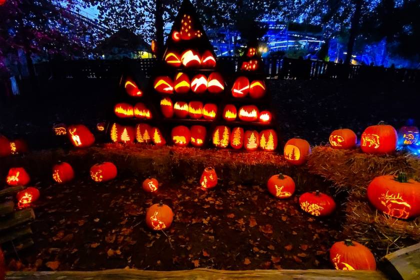 glowing pumpkins at Dollywood's Harvest Festival