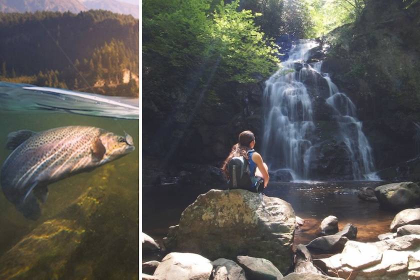 girl at waterfall in Smoky Mountain National Park