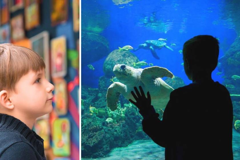 child at an aquarium and museum